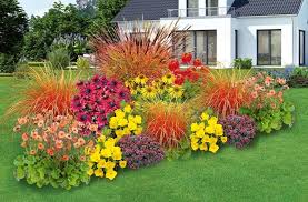 Mein Schoner Garten Sommerliebe Stauden Kollektion 20 Pflanzen Gunstig Online Kaufen Mein Schoner Garten Shop Stauden Steingarten Pflanzen Garten