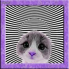 I assure you, i'm here live and i am not a cat. the timing of the eye movement is absolutely perfect. Sad Kitten Eyes Gif