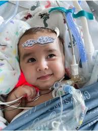 Grayson Loe Obituary (2021)