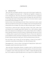 Image result for Chrysophyllum welwitschii