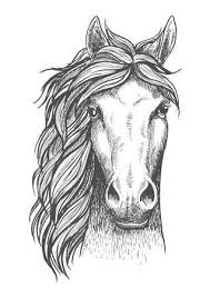 Stock Photo Avec Images Tete De Cheval Dessin Illustration De Cheval Dessin Tete