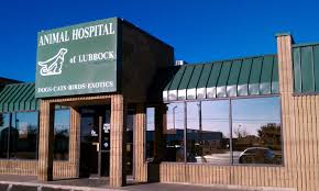 High quality there are always one or more incredible veterinarians working behind the scenes during surgeries and clinic hours. Animal Hospital Of Lubbock Home Facebook