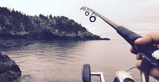 But did you check ebay? Best Spinning Rods Top 10 List For 2021 Today I M Outside