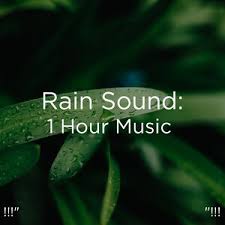 Download free rain sound effects. Rain Sound 1 Hour Music Song Download Rain Sound 1 Hour Music Mp3 Song Download Free Online Songs Hungama Com