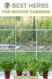 Growing your own herbs can save you money and prevent food waste. 7 Best Herbs For Indoor Gardens An Off Grid Life