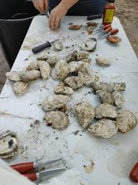 As requested, here's the results of the oyster roast last night. Pictures  courtesy of u/kj_SmrtAlc. Links to suppliers in comments. : r/savannah