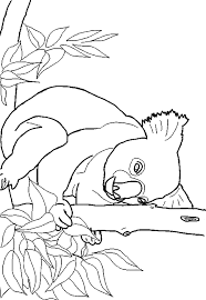 Different levels of details and styles are available. Koala Coloring Free Animal Coloring Pages Sheets Koala