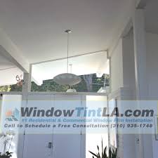 Professionally Installed Bird Strike Window Film Window Film Windows Residential