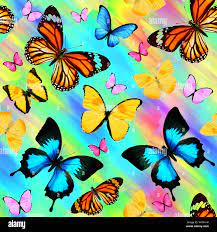 Download colorful butterflies wallpaper Bhmpics