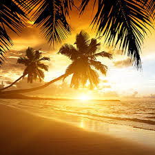 Beach scenery wallpaper cool collections of beach scenery wallpaper for desktop laptop and mobiles. Beach Sunset Live Wallpaper Apps On Google Play