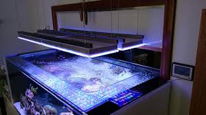 Top 5 Best Led Lights For Reef Tank In 2018 Market Review By Aquarist Guide Updated November 2020