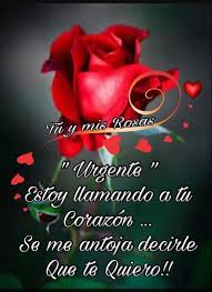 Nesecito Verte Te Extrano Mensajes Buenos Dias Amor Imagenes De Buenas Noches Amor Frases De Amor Apasionadas