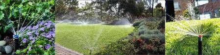 Es gibt viele möglichkeiten deinen garten zu bewässern. Kosten Automatische Gartenbewasserung Preise Bewasserungssysteme