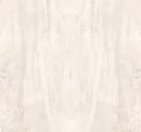 Onyx Ivory | FORTE Porcelain Stone | Francini Inc.