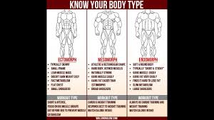 ectomorph body type fitness program how