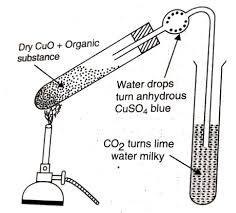 qualitative analysis of organic compounds qualitative