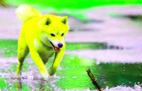 Both wanted to create a fun cryptocurrency that will appeal beyond the core bitcoin audience. Dogecoin Price Doge Price Index And Live Chart Coindesk