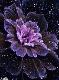 We did not find results for: Flowers Animation Gif Flowers Animation Discover Share Gifs