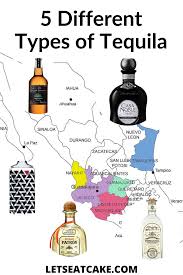 The 5 Types Of Tequila Your Guide To The Differences Let S Eat Cake In 2020 Drinks Made With Tequila Tequila Blue Agave Plant