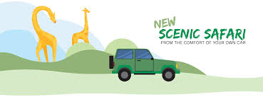 The toronto zoo will continue to offer virtual free and paid educational programming during this time. Toronto Zoo S New Scenic Safari Child S Life Kids Event Guide York Region Toronto Durham Region