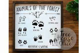 Download Animals Of The Forest Woodland Nursery Svg Dxf Png Jpeg 366902 Svgs Design Bundles Animal Nursery Decor Woodland Animal Nursery Woodland Nursery Decor