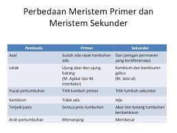 Maybe you would like to learn more about one of these? Perbedaan Pertumbuhan Dan Perkembangan Pada Tumbuhan Terkait Perbedaan