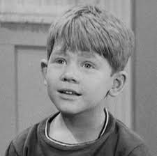 Television's New Frontier: The 1960s: The Andy Griffith Show (1961)