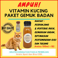 Check spelling or type a new query. Penggemuk Kucing Gemuk Badan Kucing Vitamin Kucing Napsu Makan Kucing Cat Food Makanan Obat Kucing Shopee Indonesia