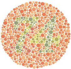 Huruf tokek kali ini kita akan membahas tentang tips dan trik atau cara belajar tes buta warna yang dimana tes ini selalu di gunakan ketika akan bekerja maupun masuk sekolah semoga sukses selal #tipsdantriklolostesbutawarna #teskesehatan #bukuishihara #mcu Gambar Tes Buta Warna