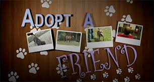 Maybe you would like to learn more about one of these? Public Safety Animal Care Home