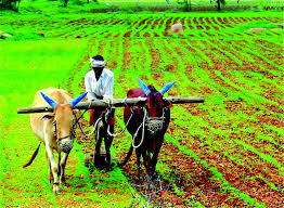 Image result for image of agriculture