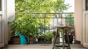 A terrace garden is always bigger than a balcony garden, so you should make some effort to maintain it. 5 Top Tips For Balcony Gardening