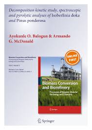 Image result for Isoberlinia doka