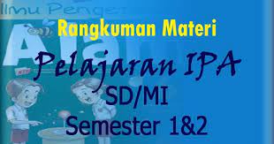 Pengertian simbiosis mutualisme dan contoh simbiosis mutualisme terlengkap. Gema Pendidikan Rangkuman Materi Ipa Kelas 6 Sd Mi Semester 1 2 Lengkap
