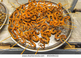 Image result for snake eatables in china