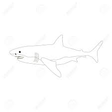 Many of today's baths, especially in builder homes, are plain white. Shark Coloring Pages On The White Background Vector Illustration Royalty Free Cliparts Vectors And Stock Illustration Image 103481843