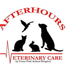 2 finding cheap vet care. Afterhours Veterinary Care Home Facebook