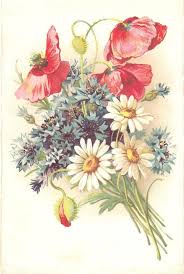 Scarica e usa 10.000+ foto di archivio di fiore png gratuitamente. Flowers Flower Sketches Cartoon Flowers Flower Png Images