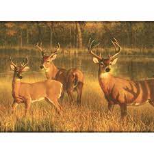 The great collection of deer wallpaper borders for desktop, laptop and mobiles. 877657 Deer Wallpaper Border Walmart Com Walmart Com