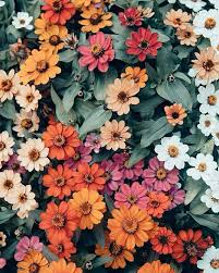 Fiori estivi da vaso o giardino: Pin Di Ch Su Nature Fiori Estivi Sfondi Floreali Fiori