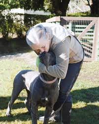 Pitbull puppies for adoption in oregon. Bapbr