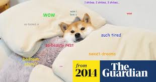 The mining process is faster than mining bitcoin. Student Uses University Computers To Mine Dogecoin Bitcoin The Guardian