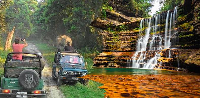 Manas National Park Image 3