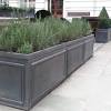 Get the latest in patio & garden items. 1