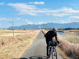 Image result for +bikyakudaimaou