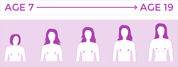 This article will give you a complete guide about when do girls stop growing& the reason girls are growing. Puberty Information For Boys And Girls Avert