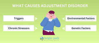 Image result for Adjustment Disorder