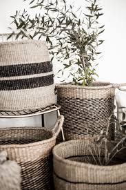 Leave a comment, let me know what your favorite project was. Woven Baskets Olive Trees