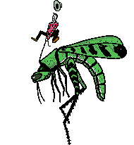 Share the best gifs now. Koleksi 44 Gambar Animasi Binatang Terbang Paling Baru Gambar Animasi