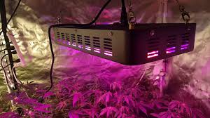 Our led grow lights ensure maximum yield with minimum power usage and heat. 1200w Led Grow Season 1 Episode 4 By Growinginhd